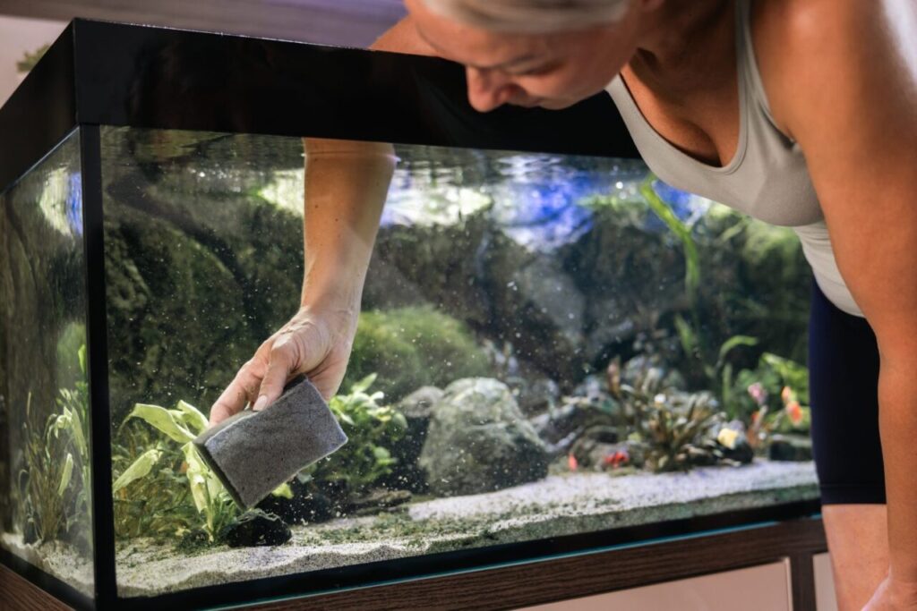 Aquarium d’occasion qui sent le renfermé : le remettre en service
