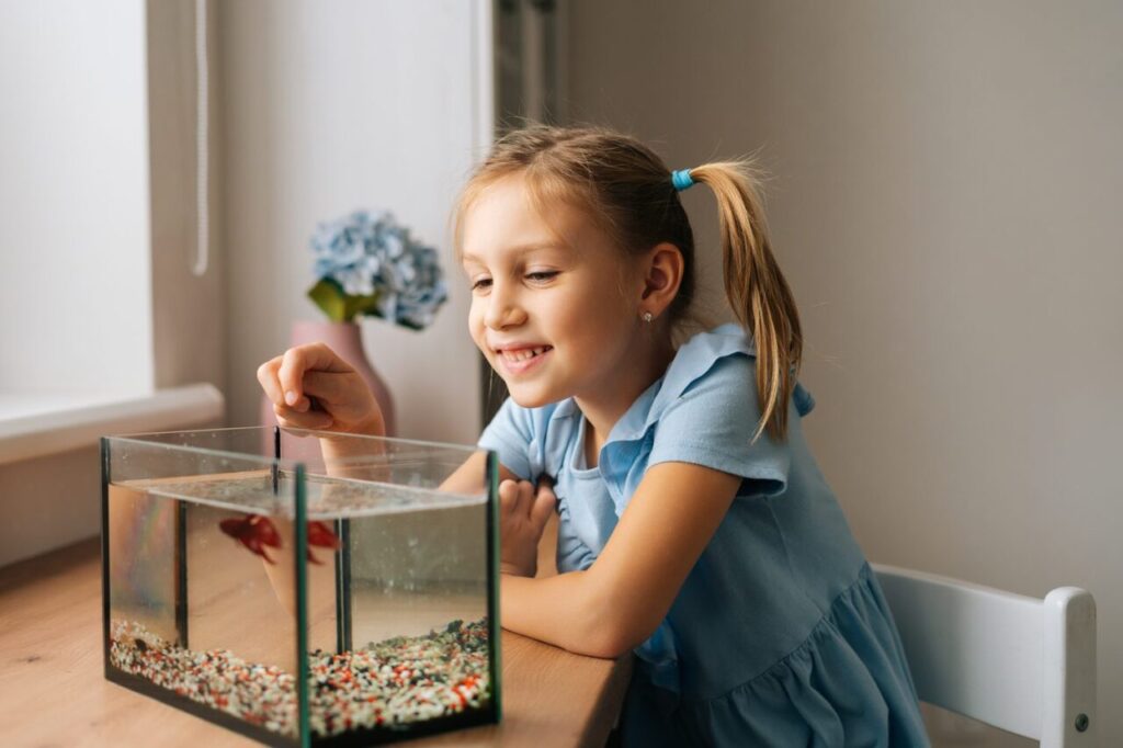 Un aquarium facile pour un enfant de 8 ans : est-ce réaliste ?